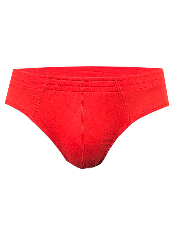 10 Men's Cotton Brief Underwear