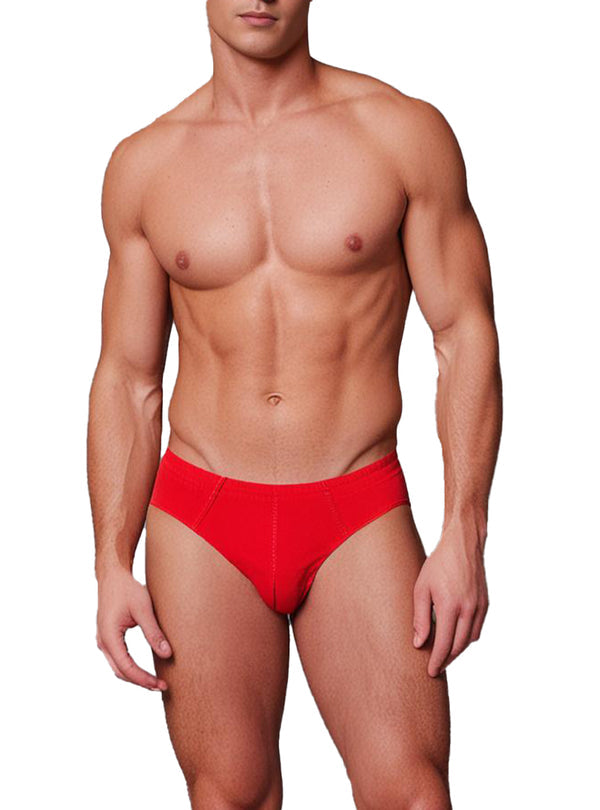 10 Men's Cotton Brief Underwear