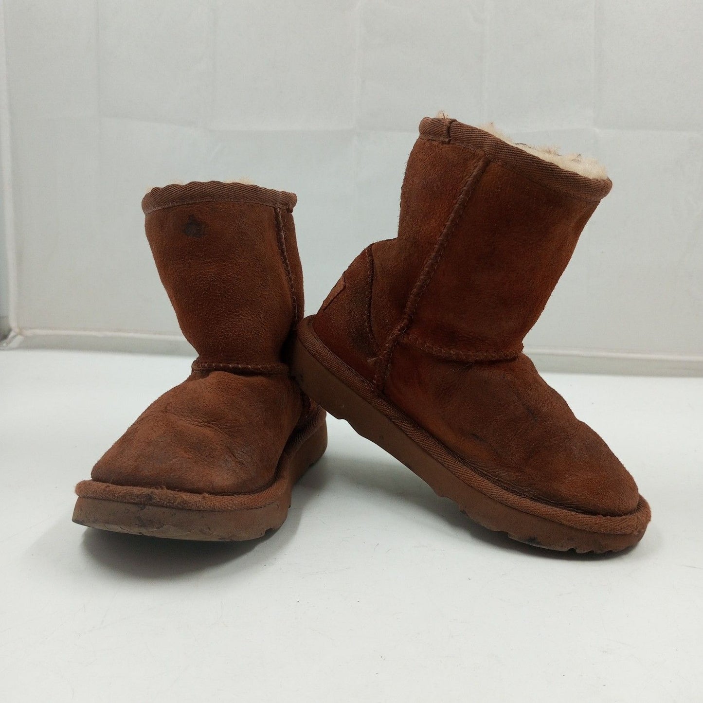 Uggs Shoes Box 17 Count