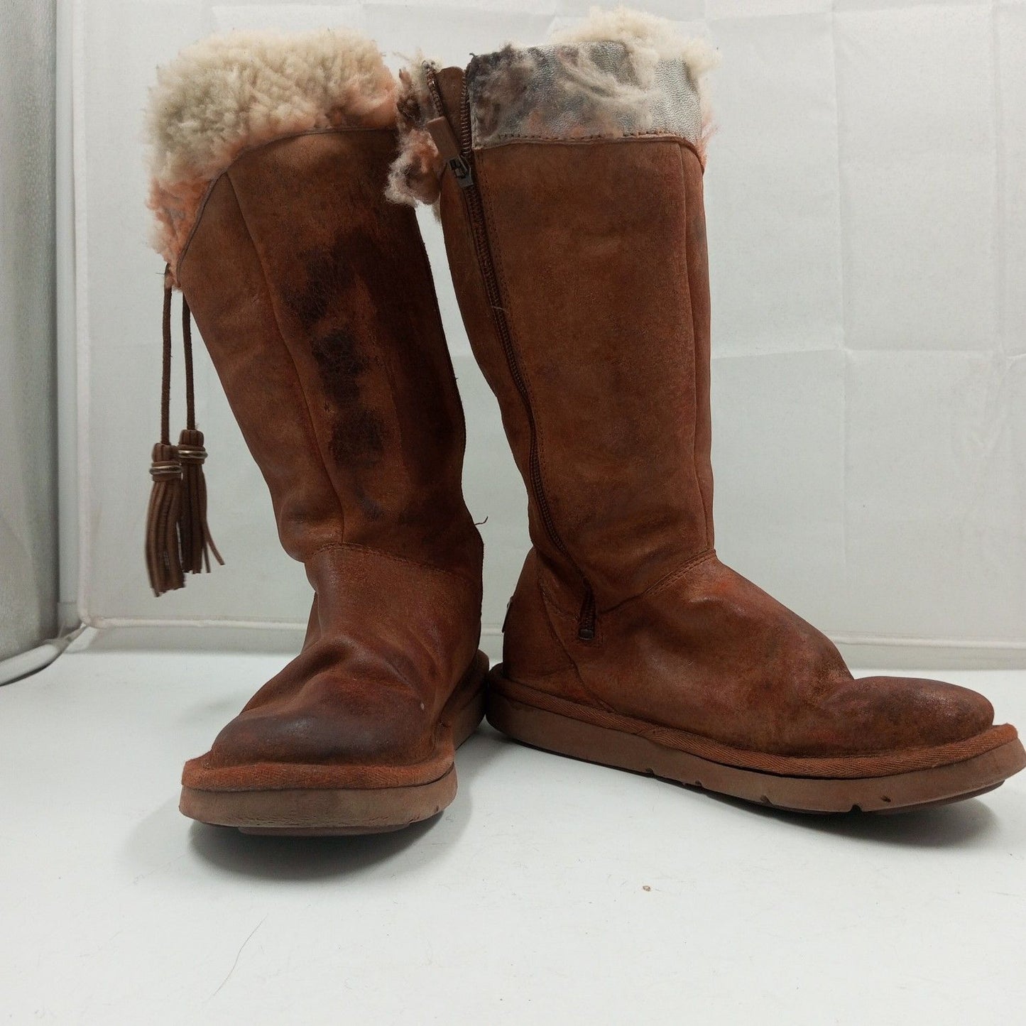 Uggs Shoes Box 17 Count
