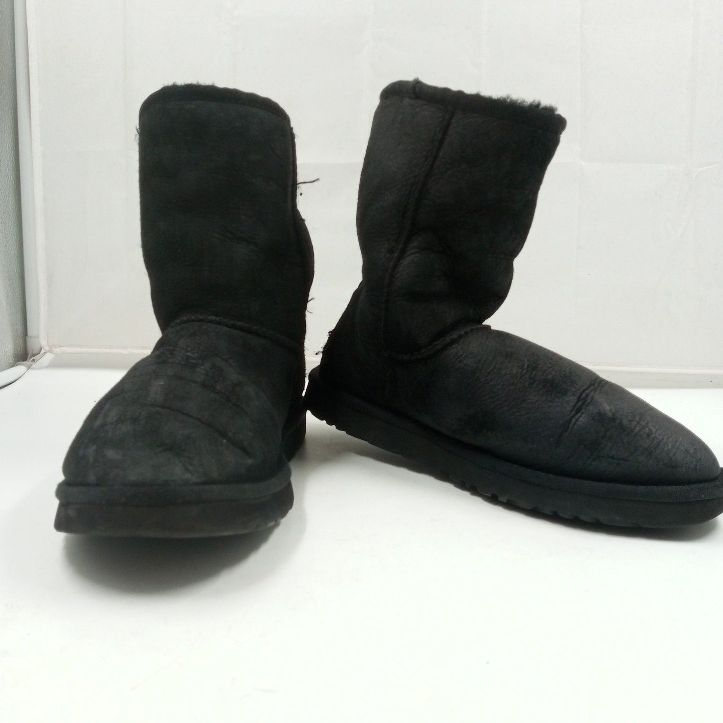 Uggs Shoes Box 17 Count