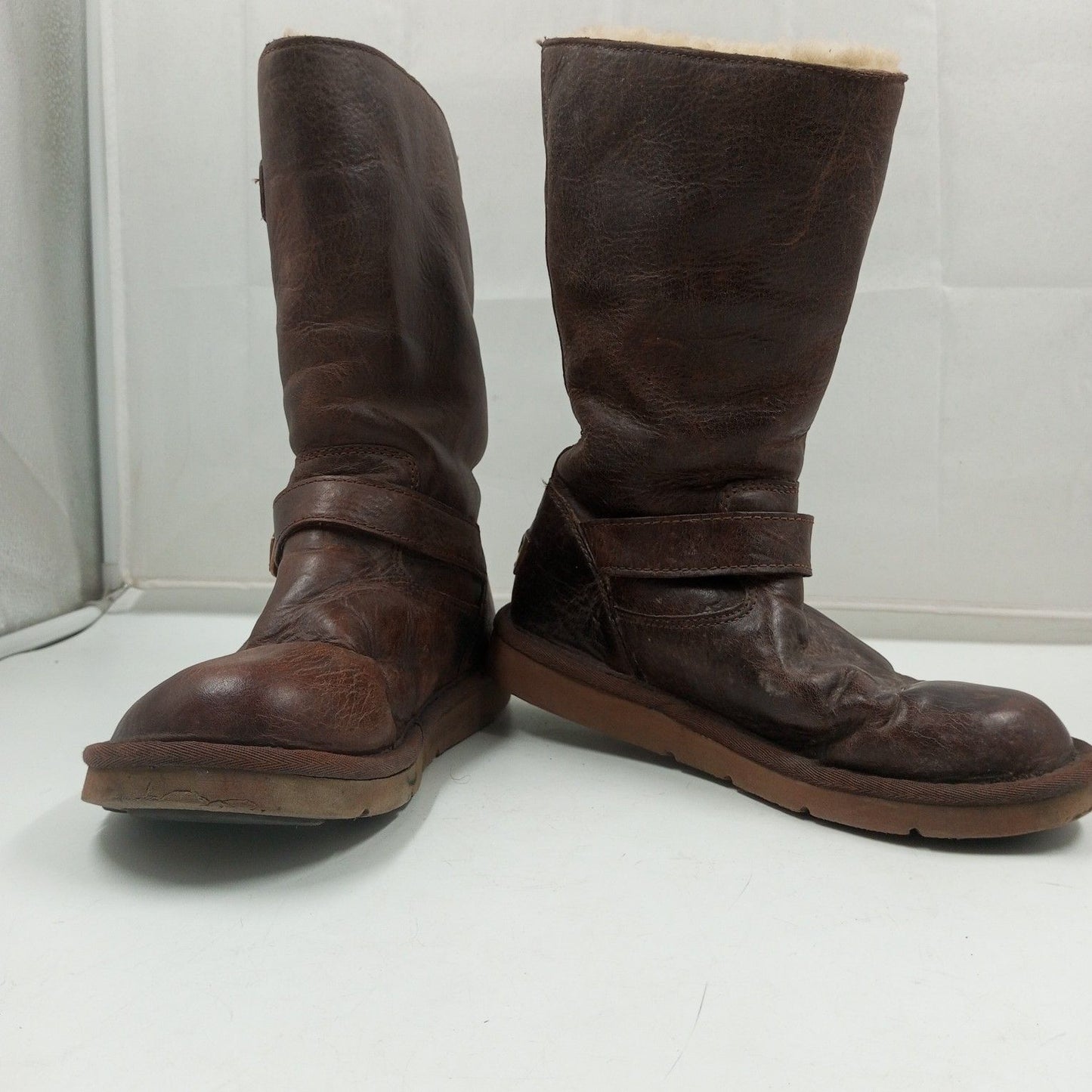 Uggs Shoes Box 17 Count