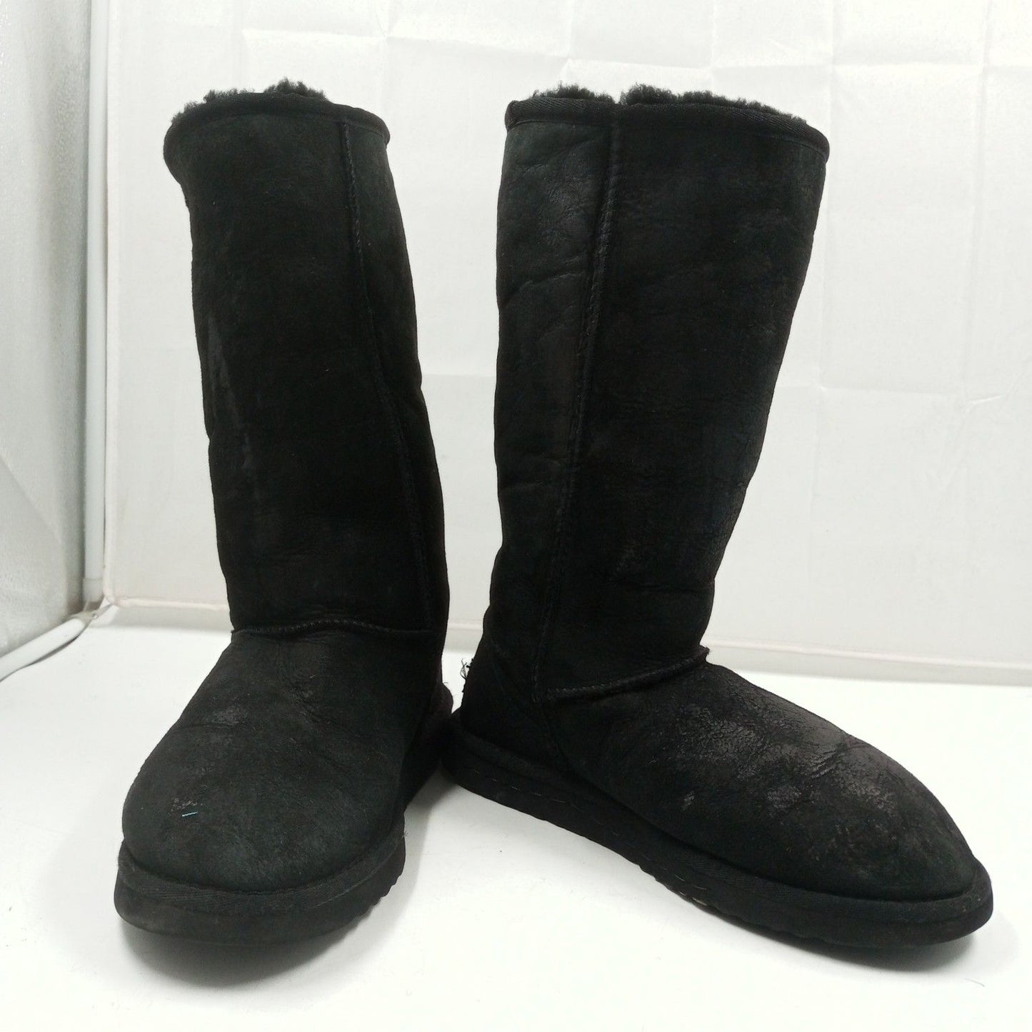 Uggs Shoes Box 17 Count