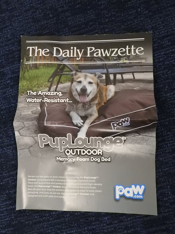 Outdoor Dog Bed (NEW IN BOX!)